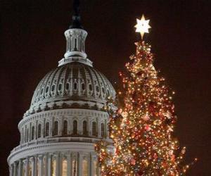 yapboz Capitol Noel ağacı
